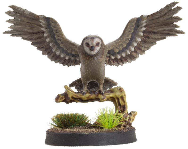 Owl