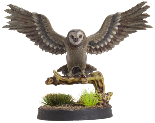 Owl