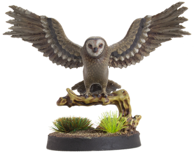 Owl