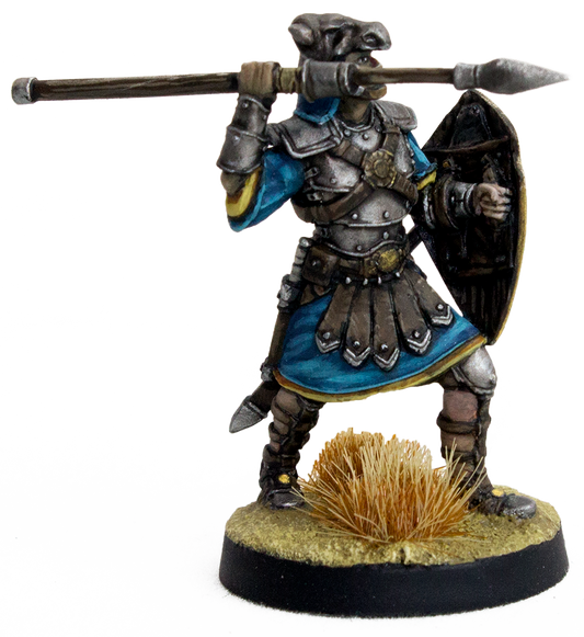 Legionnaire