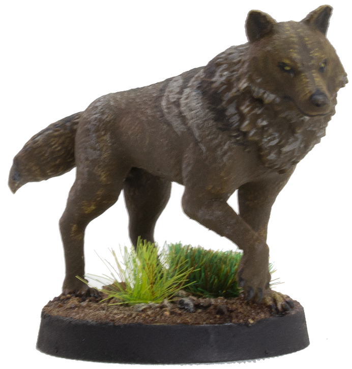 Wolf