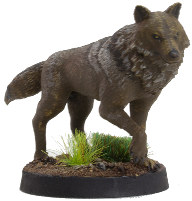 Wolf